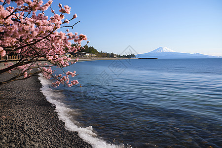 春季湖畔的美丽景观背景图片