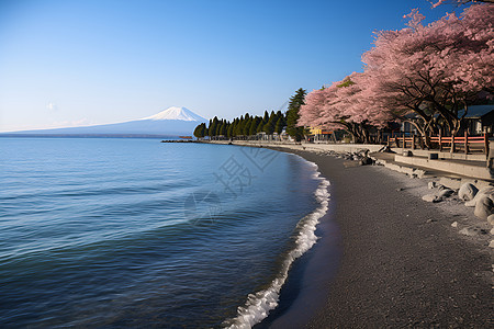 远处的富士山景观背景图片