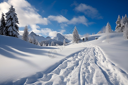 冰天雪地的美丽自然景色图片