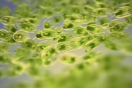 微生物实验背景图片