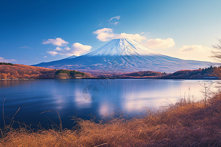 风景优美的富士山景观背景图片