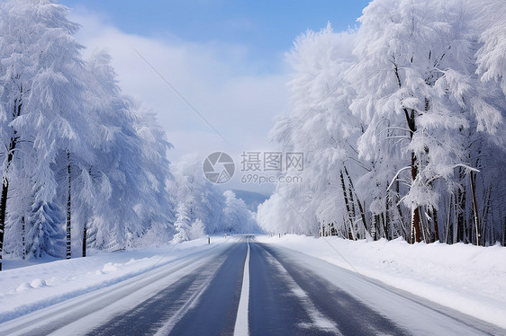 雪地飘零的冬日森林道路图片
