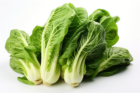 白色背景上的新鲜蔬菜背景图片