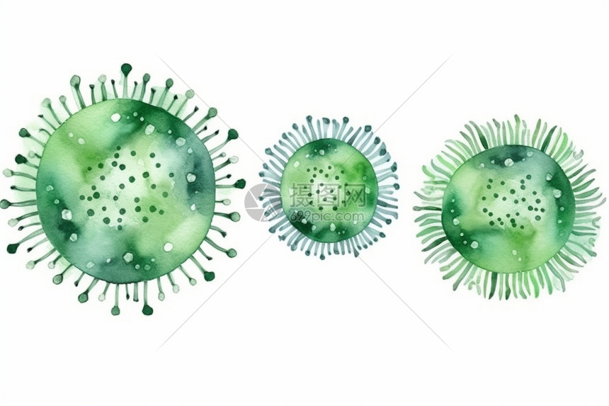 绿色的冠状病毒图片