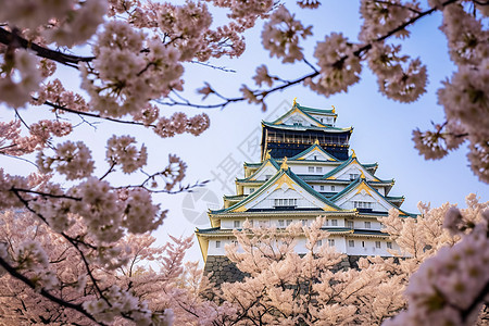 春季樱花下的古城建筑景观背景图片