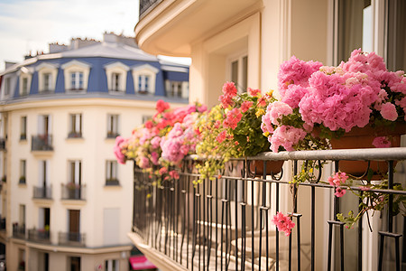 阳台盆栽浪漫的家居阳台风景背景