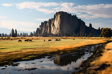 牛羊草地大自然的美景风景背景