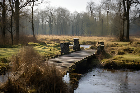 小溪旁的木桥图片