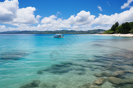 热带海边美景背景