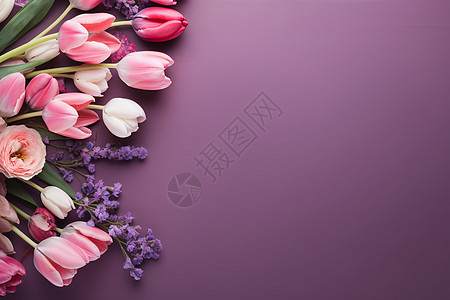 紫色背景上的花朵图片