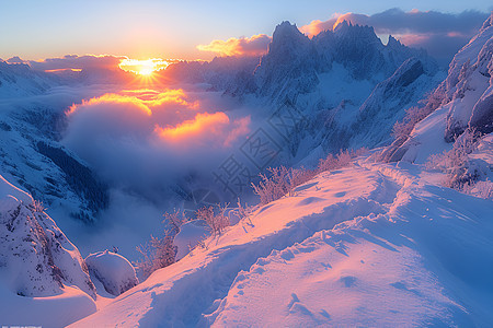 阳光下的雪山背景图片