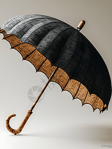 黑色的雨伞图片