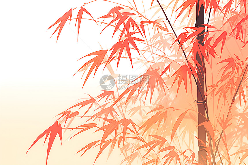 竹子上的红叶图片