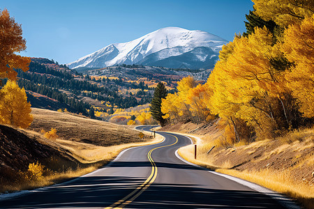 秋天山路秋天的公路背景