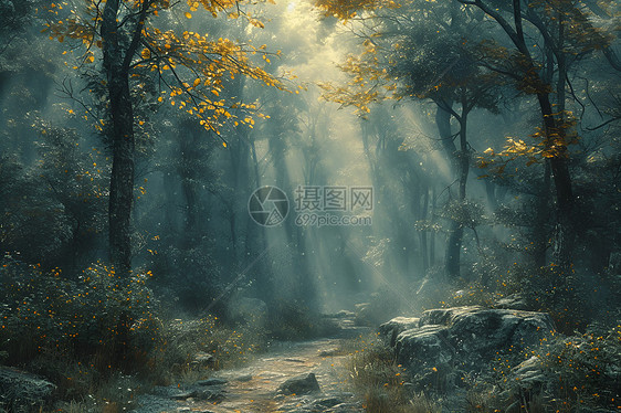 阳光照在森林中图片
