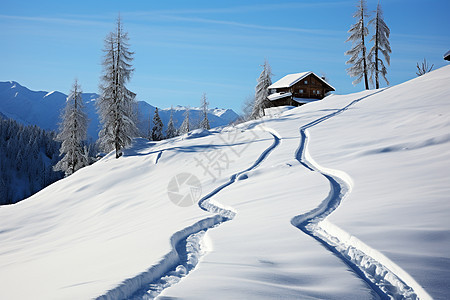 雪山上的小屋图片