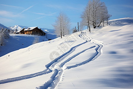 白雪皑皑背景图片