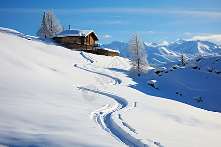 冬日白雪背景图片