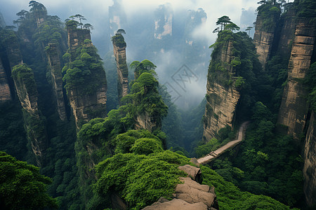 高山之旅图片