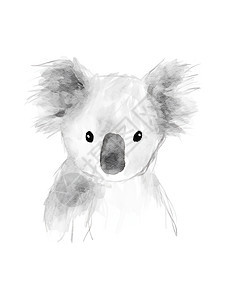 可爱的考拉熊画作图片