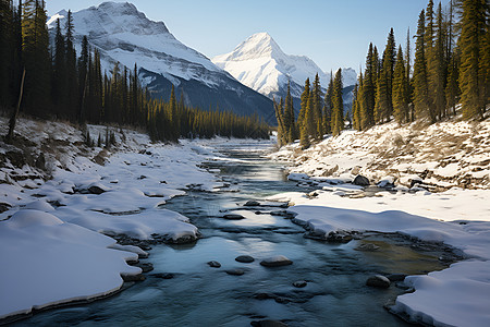 雪山林间山溪图片