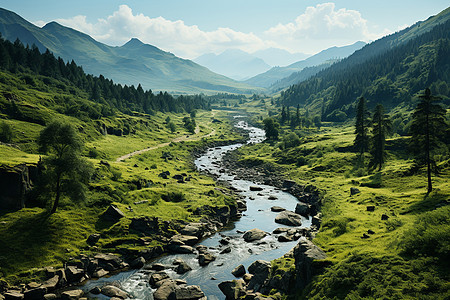 翠绿山谷中的河流图片
