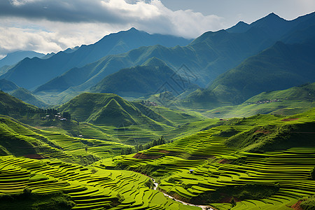 梯田茶园户外壮观的梯田背景