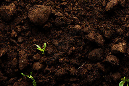 户外大地中的土壤背景图片
