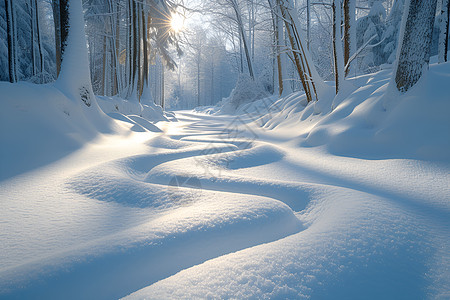 森林中厚厚的积雪图片