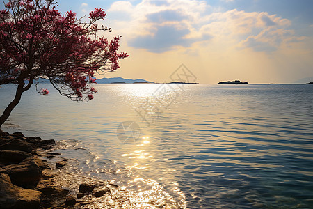 美丽的水域风景背景图片