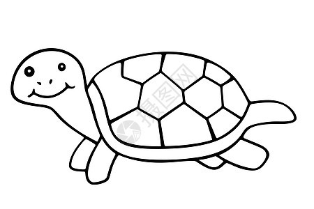 快乐的乌龟背景图片