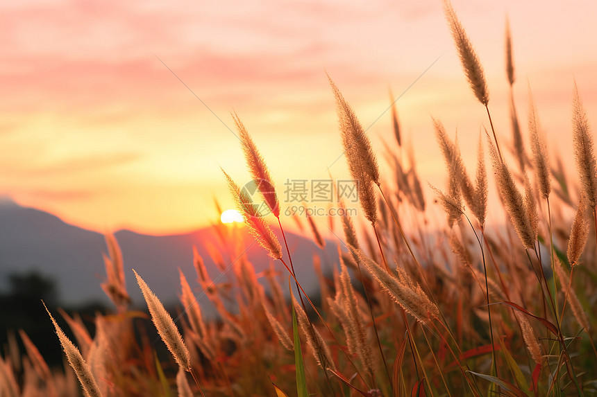 美丽的秋季山间景观图片