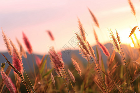 秋季夕阳山间的美丽景观图片