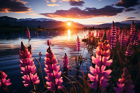 湖泊的美丽日落图片