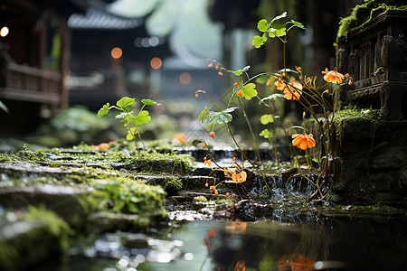 潺潺流水植物图片