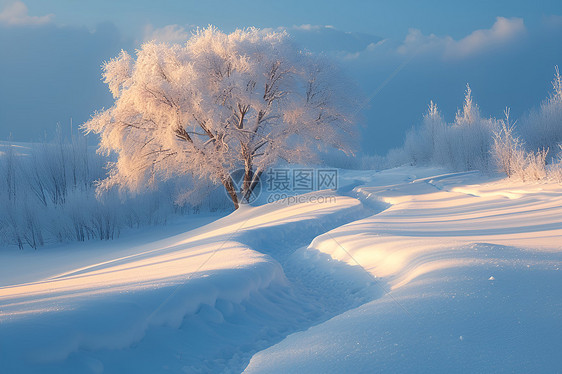 山坡中的冰雪图片