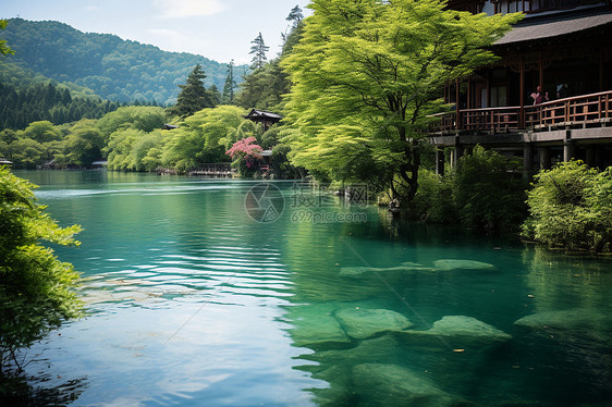 风景如画的自然美景图片