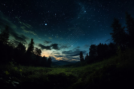 夜晚的星空与草地图片
