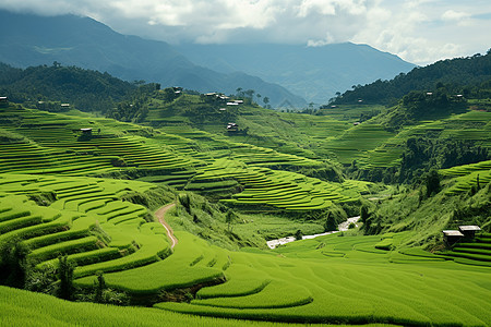 高山云雾青山绿水云雾飘渺背景