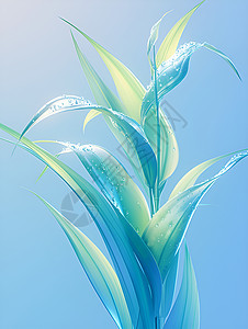 水滴悬浮的绿色植物背景图片