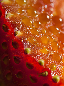水珠悬挂的水果图片