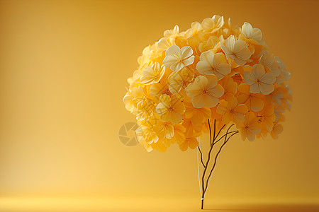 金黄色的花束图片
