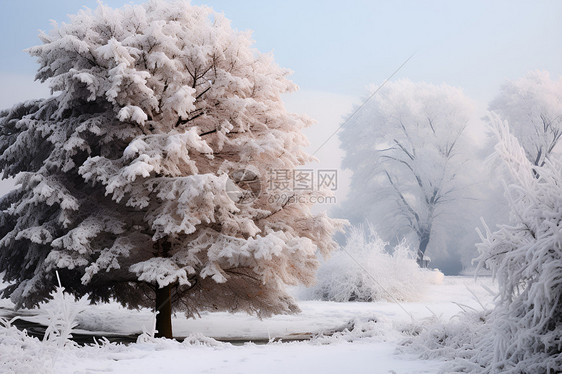 冬日冰雪公园图片