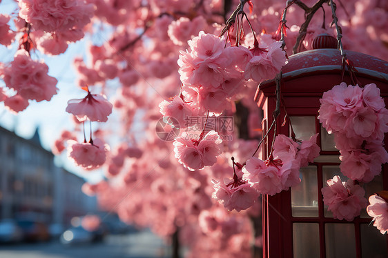 粉色花瓣装饰的电话亭图片