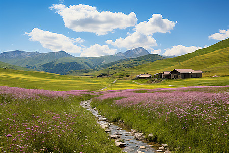 美丽的草原风景图片