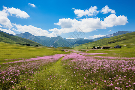 大草原风景大草原上的景色背景