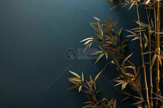 墙壁上的竹叶叶子图片