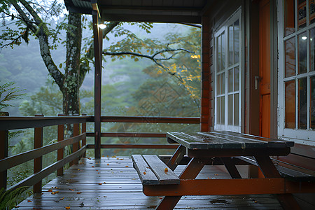 森林的小屋背景图片