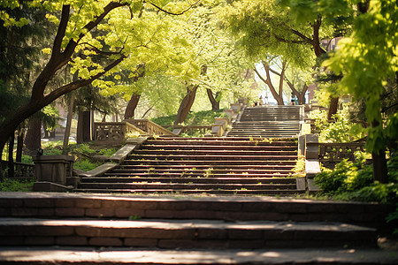 枫叶公园的楼梯背景图片