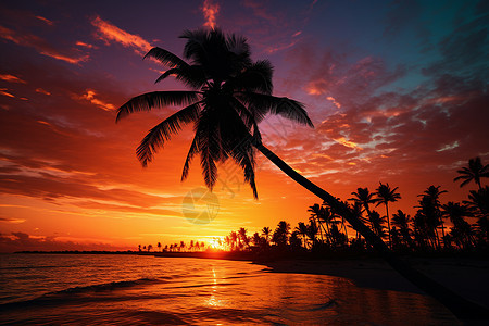 夕阳下的海边背景图片